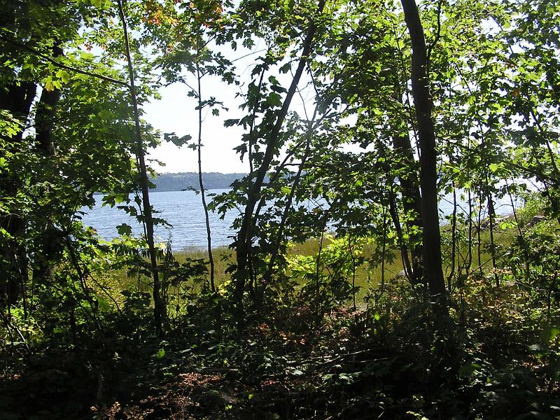 P1010040.JPG