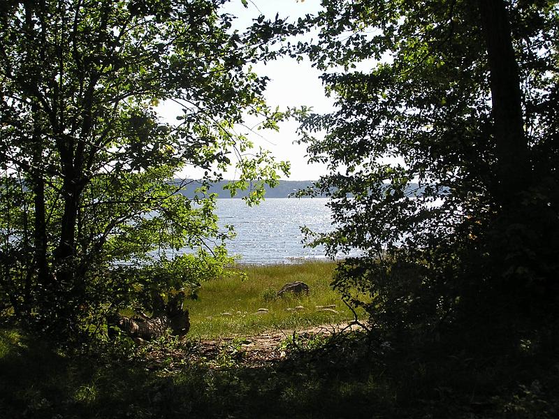 P1010042.JPG